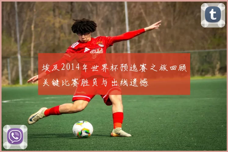 埃及2014年世界杯预选赛之旅回顾关键比赛胜负与出线遗憾