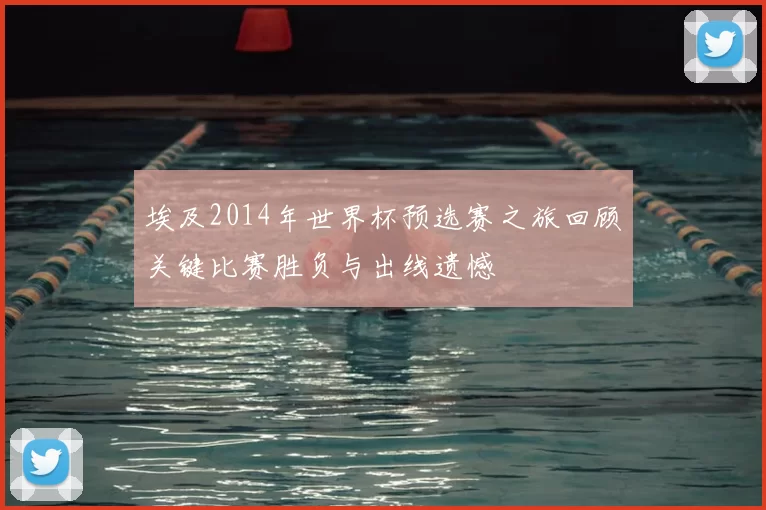 埃及2014年世界杯预选赛之旅回顾关键比赛胜负与出线遗憾