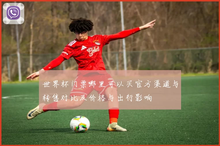 世界杯门票哪里可以买官方渠道与转售对比及价格与出行影响