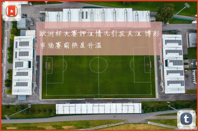 欧洲杯决赛押注情况引发关注 博彩市场赛前热度升温